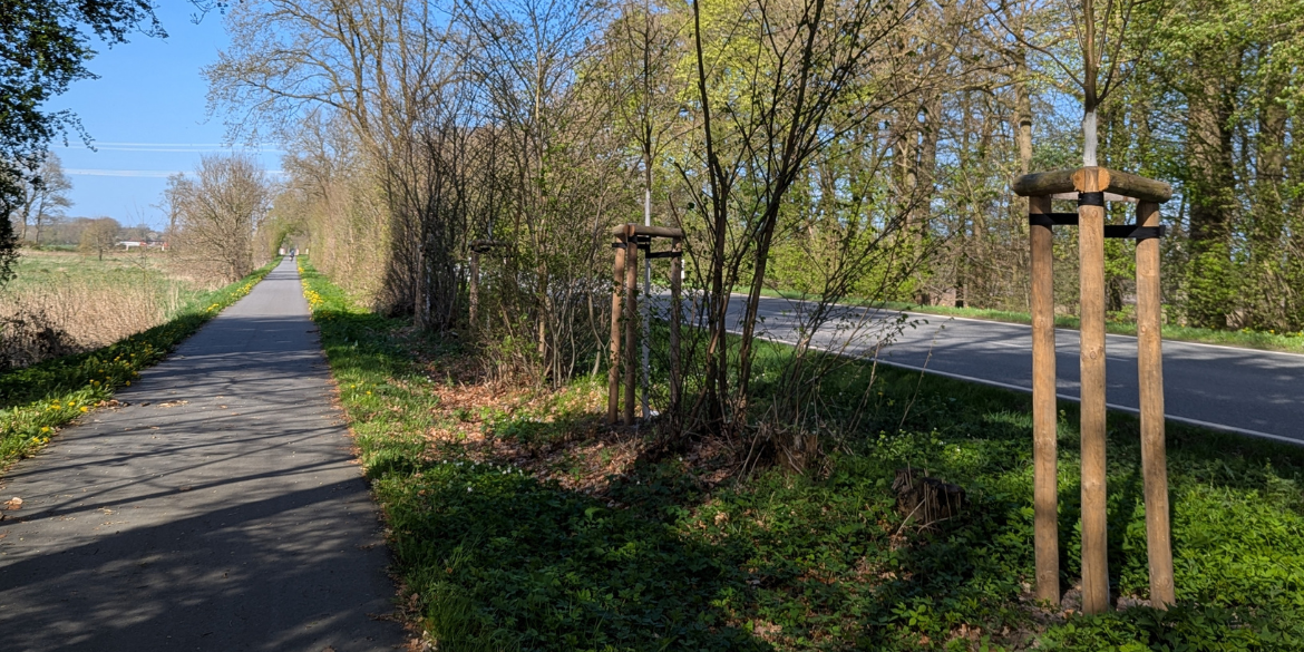 Knick an B4 mit neugepflanzten Bäumen