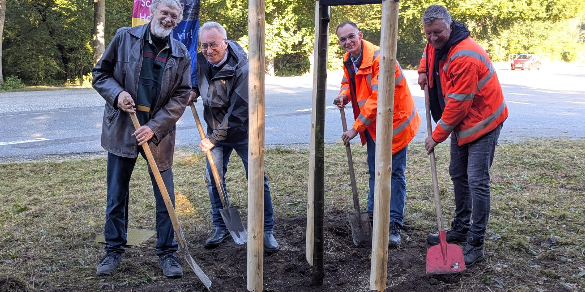 Vier Männer pflanzen einen Baum