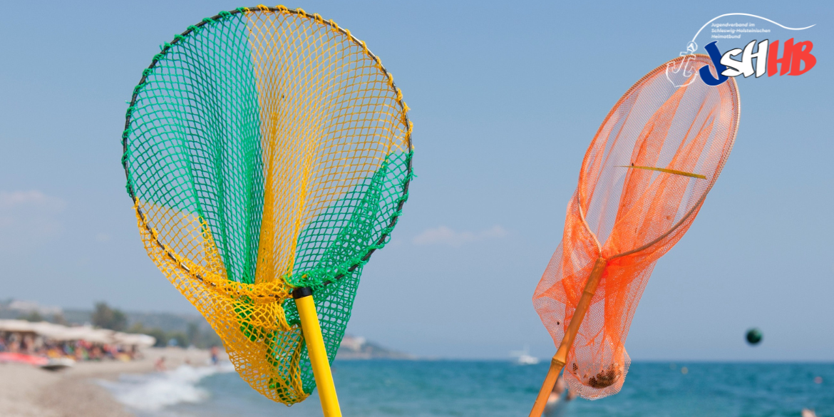 Zwei bunte Kescher mit Strand im Hintergrund © I.Wierink-van Wetten 