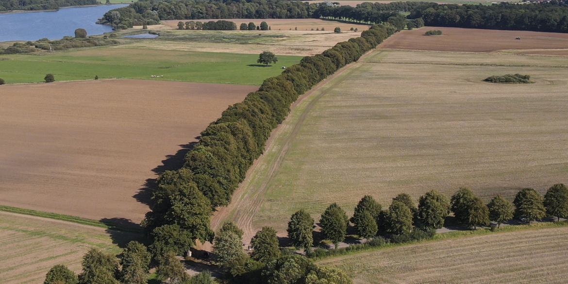 Luftbild Hornsdorfer Allee