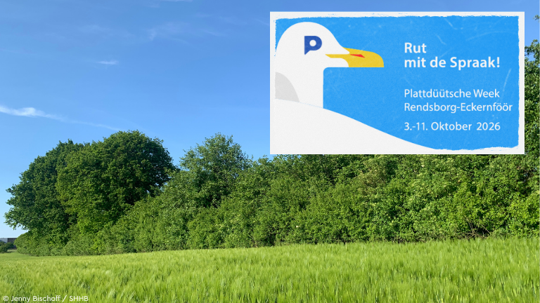 Knick im Sommer an Gerstenfeld