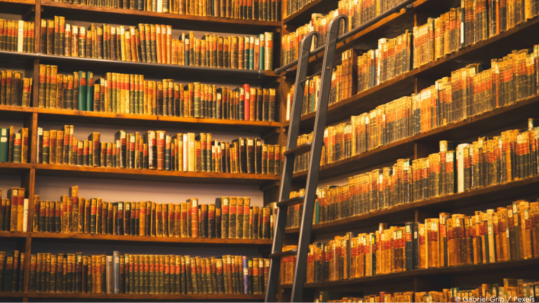 Bibliothek-Wand mit alten Büchern und Leiter